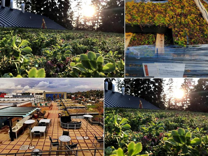 Element Smart Roofing