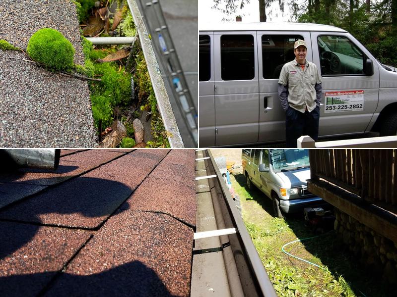 Harbor Roof & Gutter Cleaning