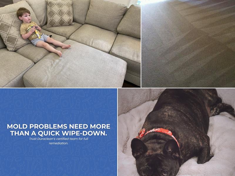 Duraclean Systems of North Augusta Inc.