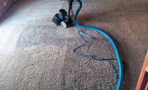 Alpha Dog Carpet Cleaning