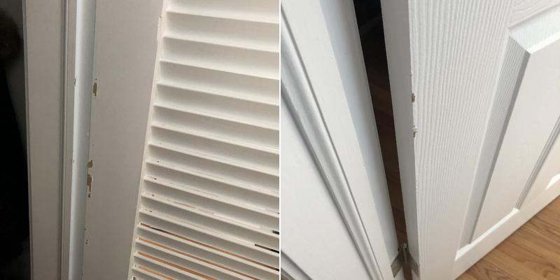 green tree painting and design