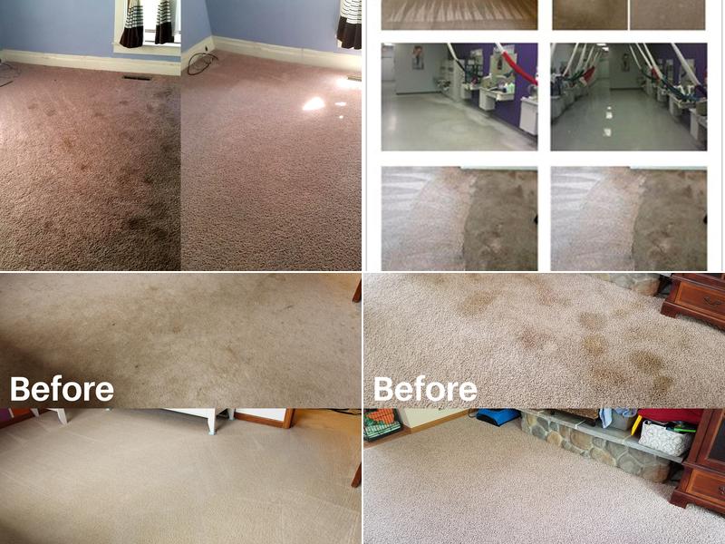 DM Carpet Cleaning
