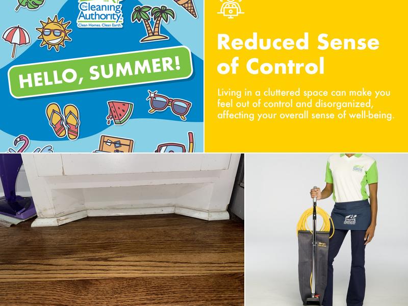 The Cleaning Authority - West Columbia