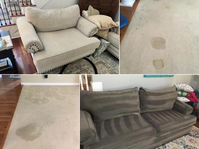 Nature Dry Carpet Clean