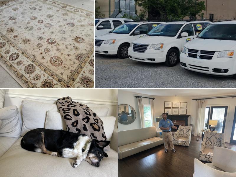 Safe-Dry Carpet Cleaning Of Columbia