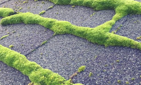 Coastal Roof Cleaning Experts