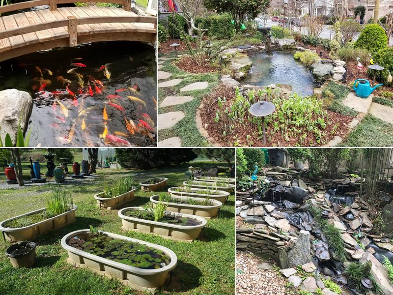 Serenity Water Gardens, Inc.
