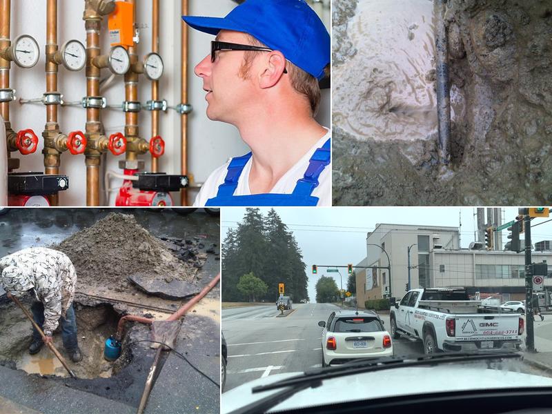 Blue Mountain Services Ltd.