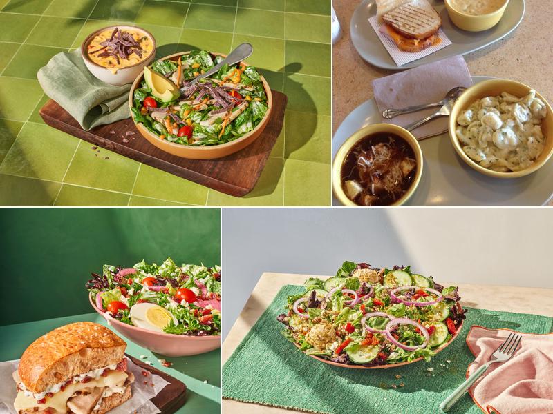 Panera Bread 5382 Abbe Rd N, Sheffield