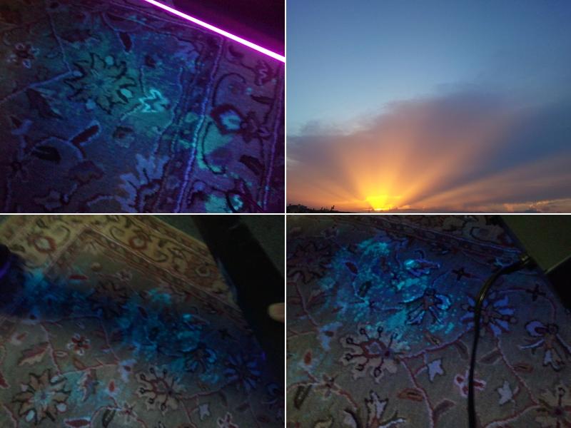 Sunshine Fabric Cleaning & Restoration