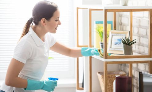 Simply Clean and Green 814 Summer Park Dr, Stafford Texas 77477