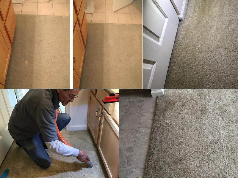Partners In Grime Carpet Cleaning