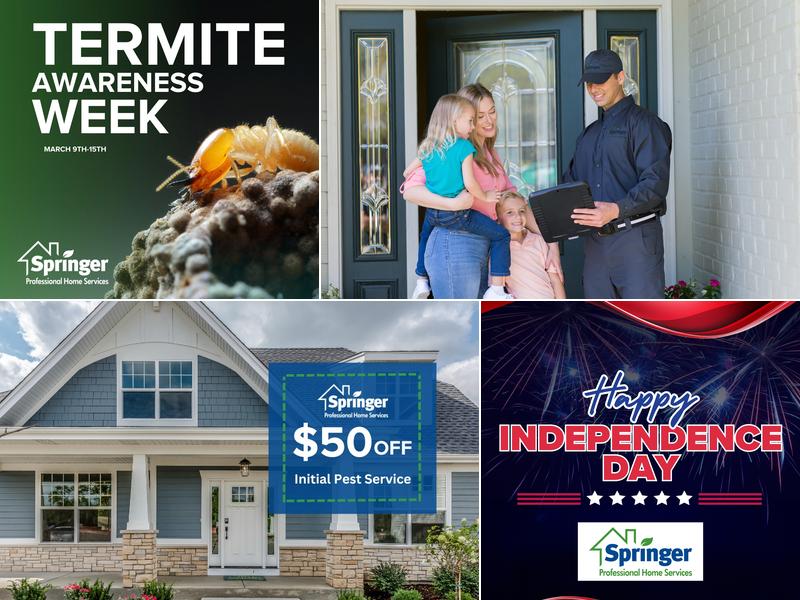 Springer Professional Home Services