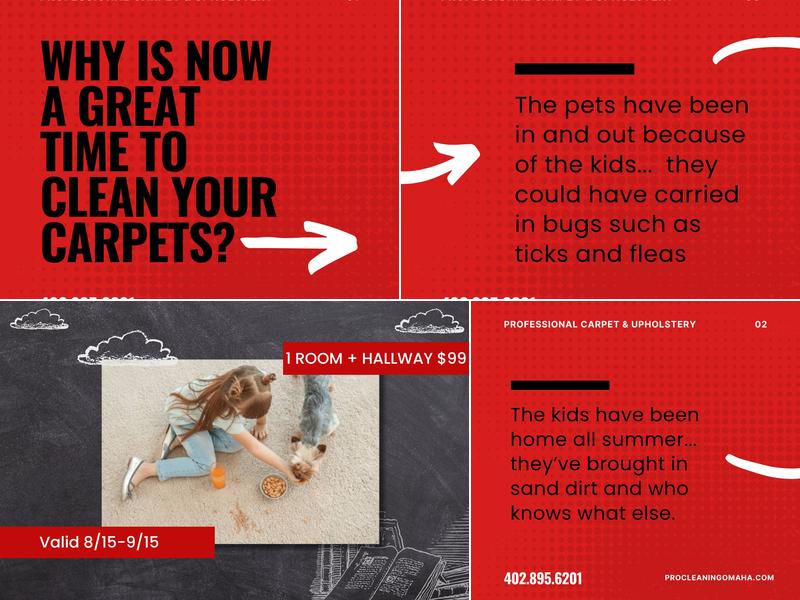 Professional Carpet & Upholstery Cleaning, Inc