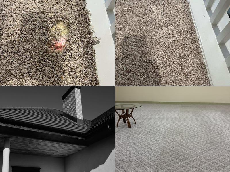 Black Tie Carpet Care