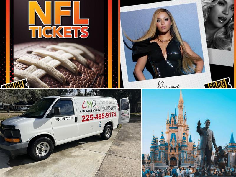 CATIA MOBILE DETAILING LLC.