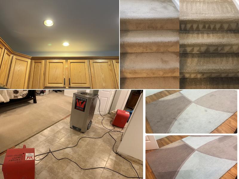 Mammoth Carpet, Water Damage and Mold