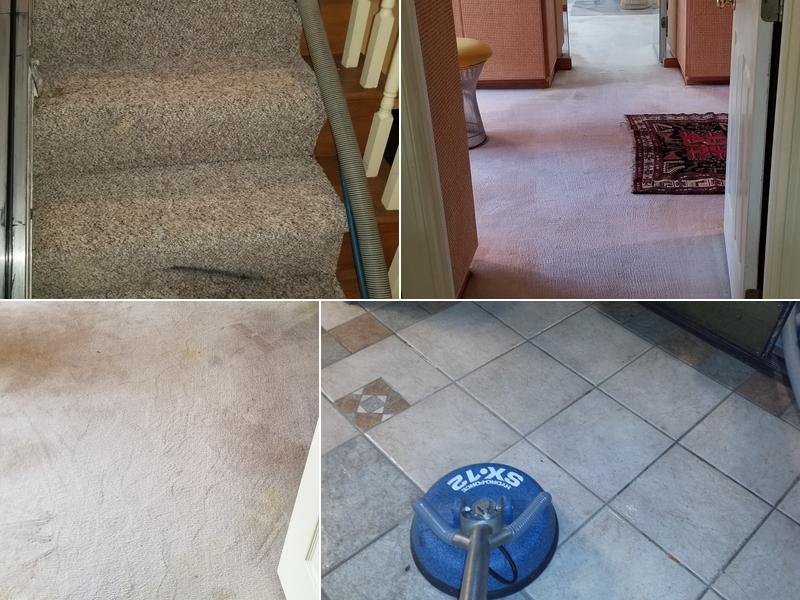Nice Pro Carpet Cleaning
