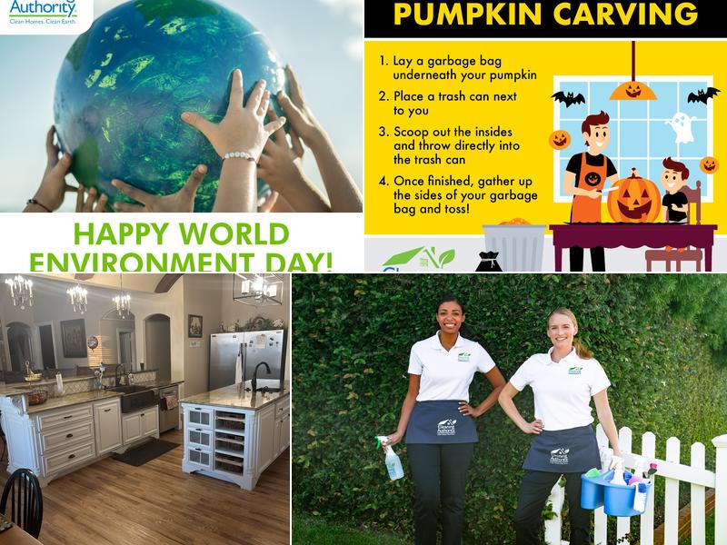 The Cleaning Authority - Arlington