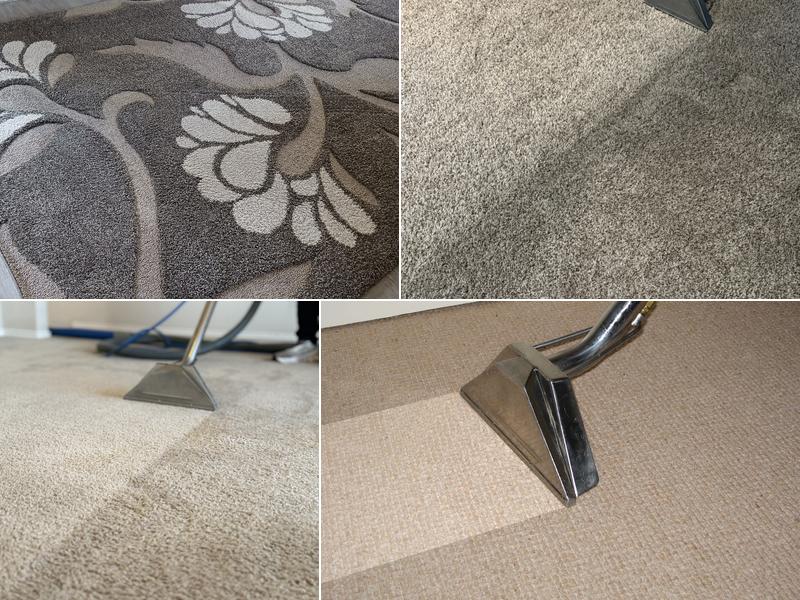 Power Steam Carpet Cleaning