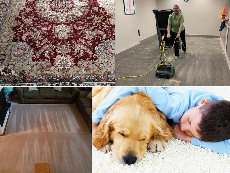 Marlene's Green Carpet Cleaning