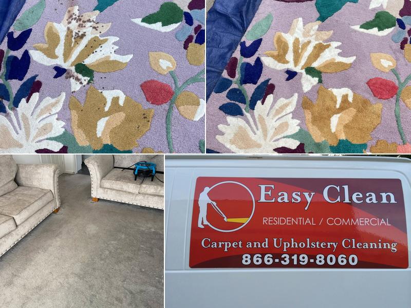 E-Z Clean Carpet & Upholstery LLC
