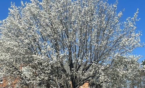 Maid Brigade of Richmond