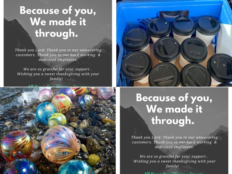 All Things New Cleaning Services