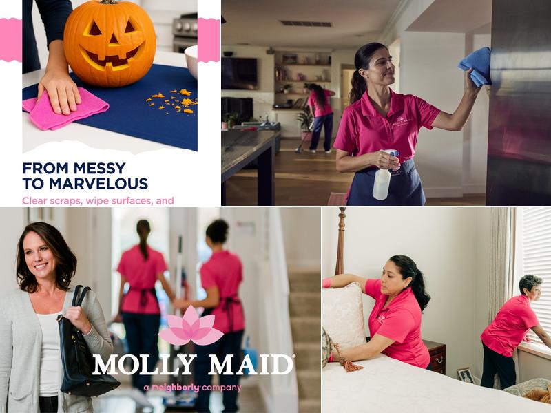 Molly Maid of Renton, Bellevue, Redmond & Kent