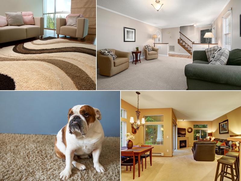 Dependable Carpet Care