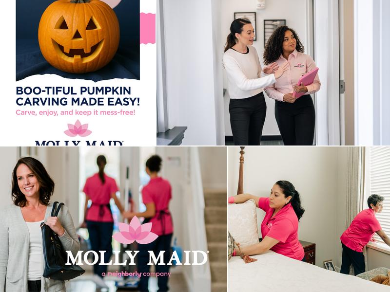 Molly Maid of Mill Creek and Woodinville