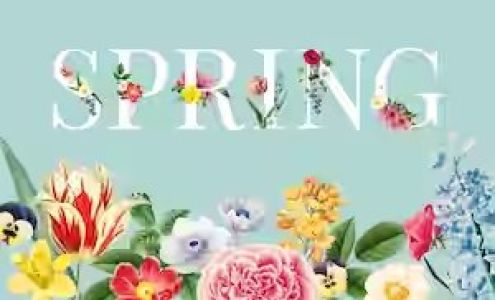 Scrubbles Cleaning Service 8801 WA-16 NW Suite C, Gig Harbor Washington 98332