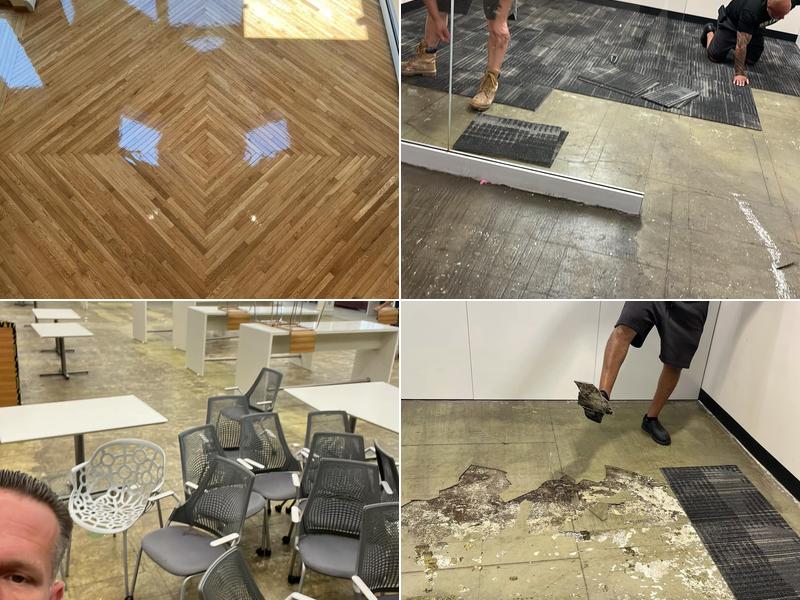 State Rug & Warwick Floors