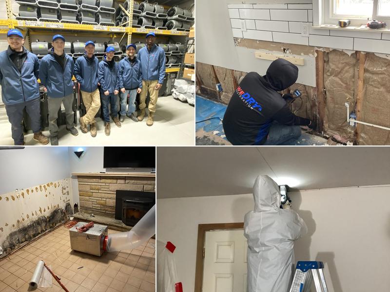weDRY Restoration - WATER, MOLD & FIRE SERVICES