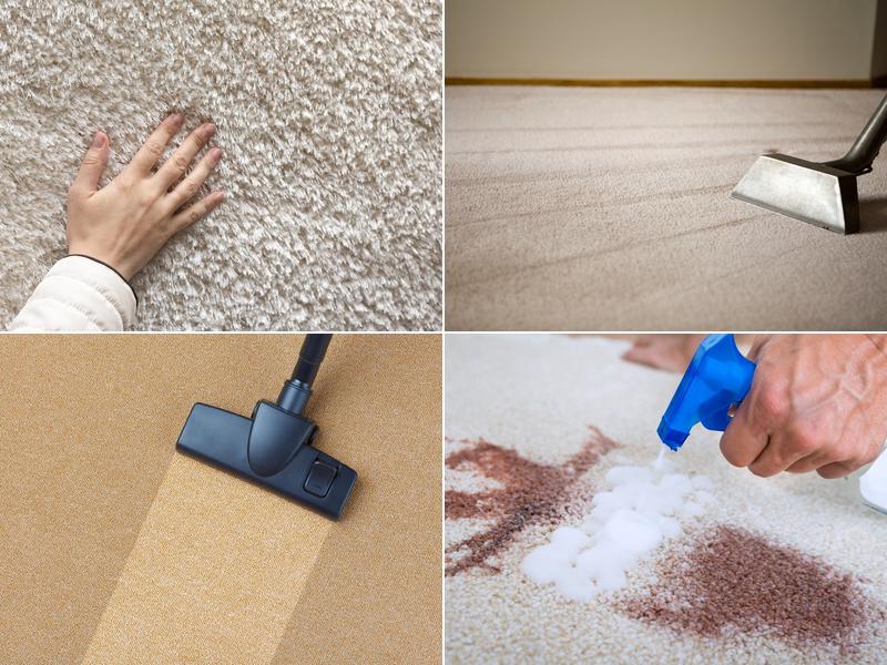Blough's Carpet Cleaning and Restoration