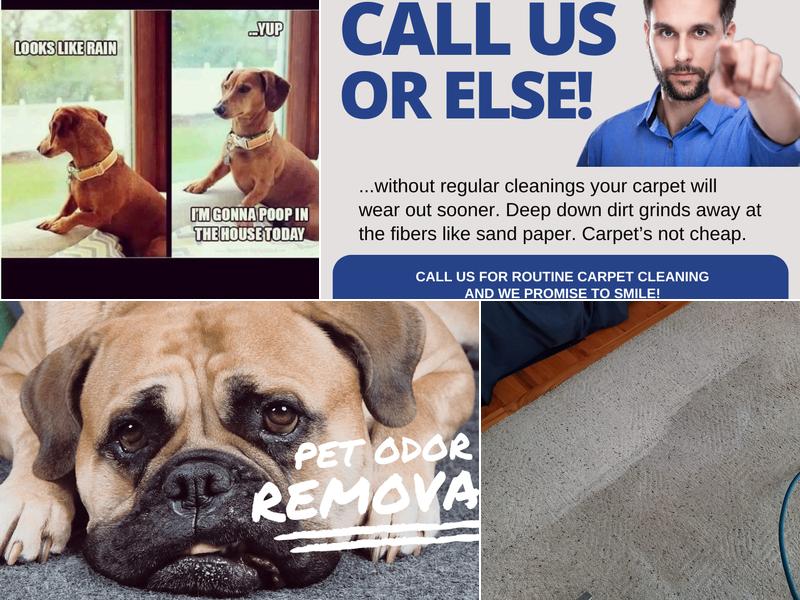 Carpet Master Carpet Cleaning LLC