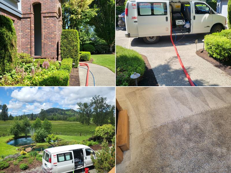 Capital Carpet Cleaning