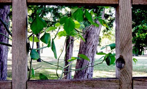 Strong Landscape Construction