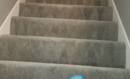 Ecogreen Dry Masters