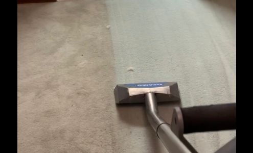 Interior Carpet Care
