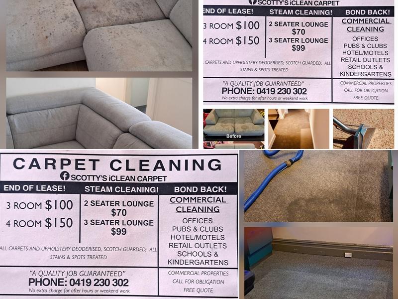 Scotties Carpet & Upholstery Cleaning