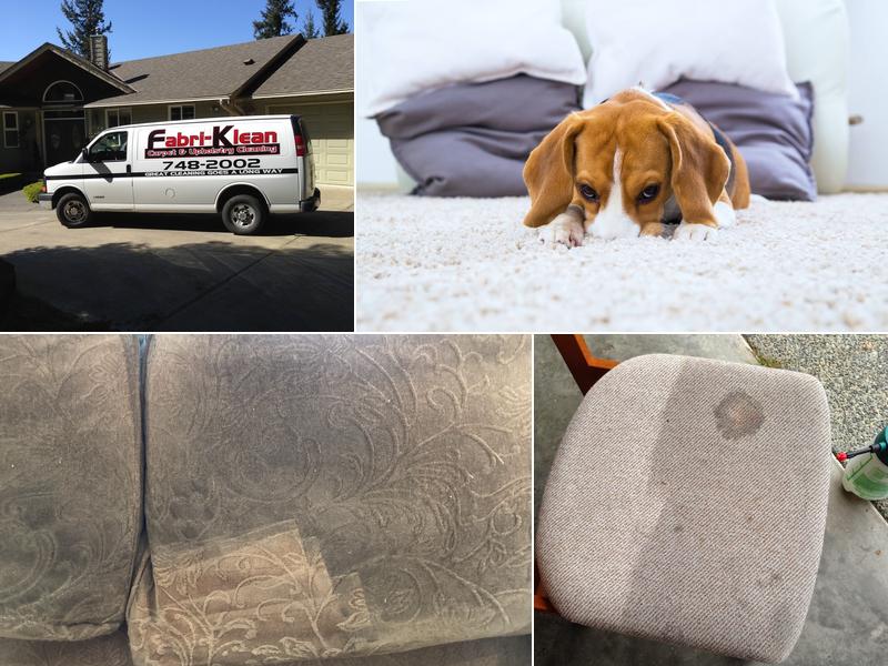 Fabri-Klean Carpet & Upholstery Cleaning