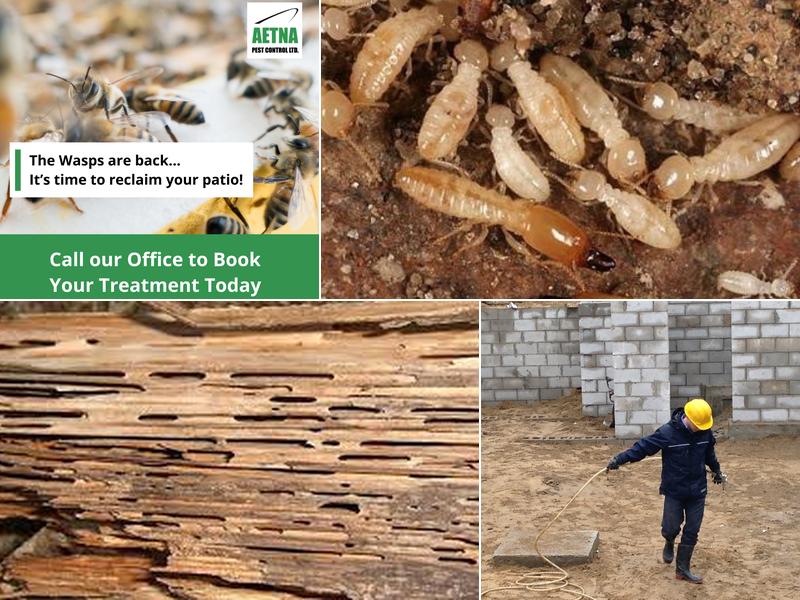 Aetna Pest Control Limited