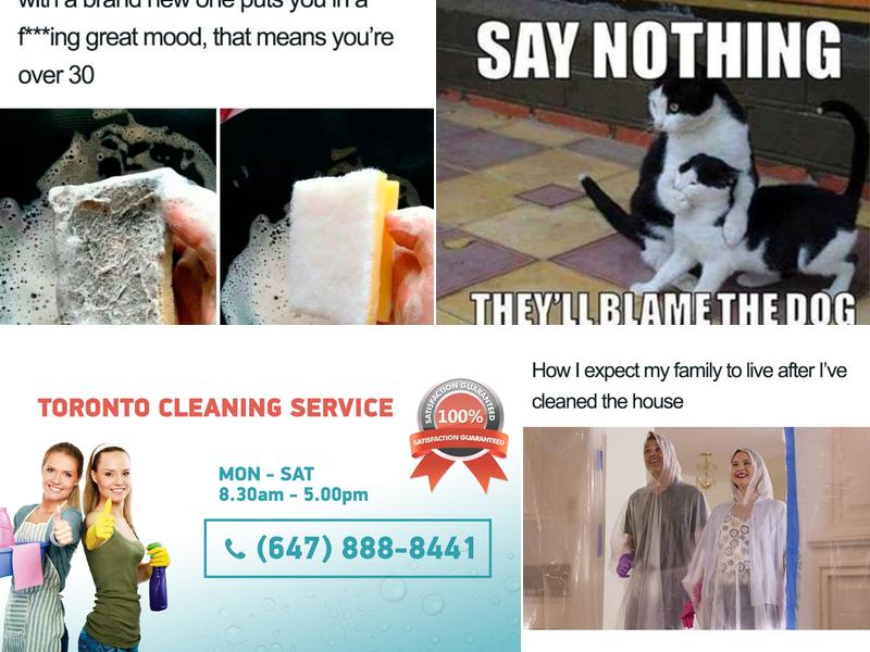 Master Maid - Condo and House Cleaning Services