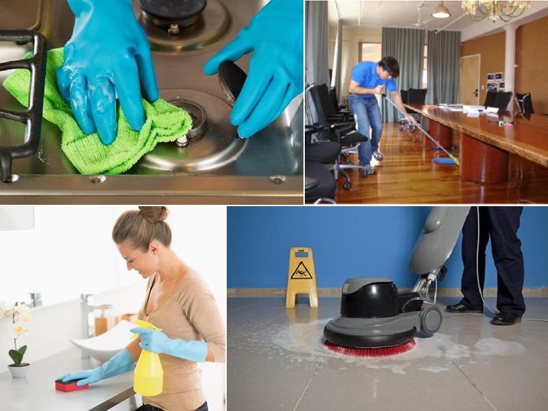 Carpet Cleaning Services Toronto Pro