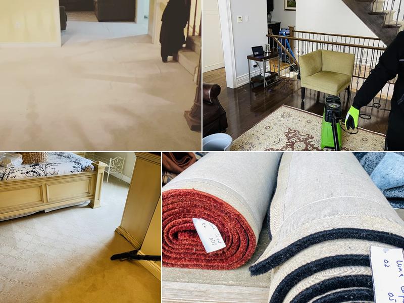 Luna Carpet & Upholstery Cleaning