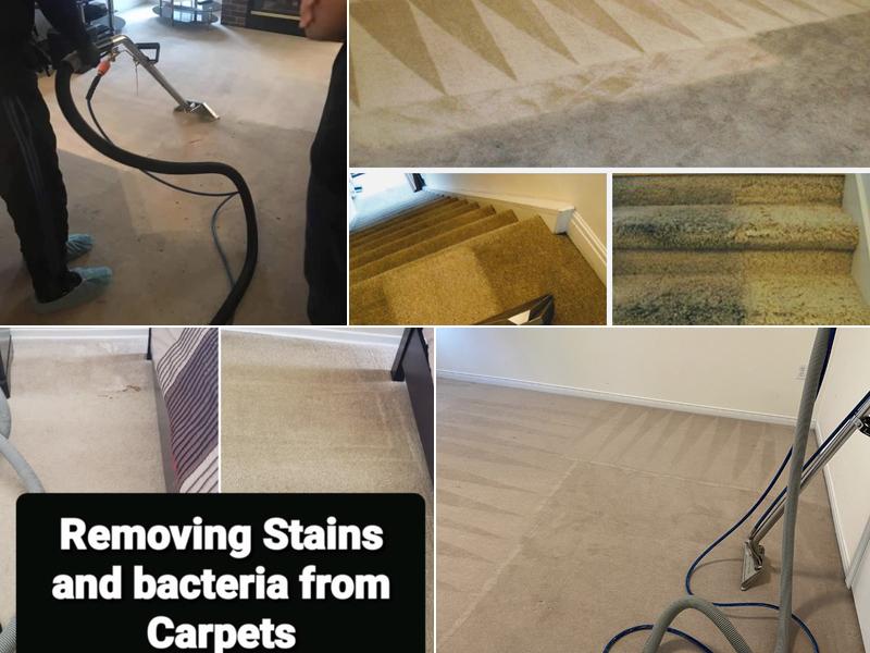 King carpet cleaning