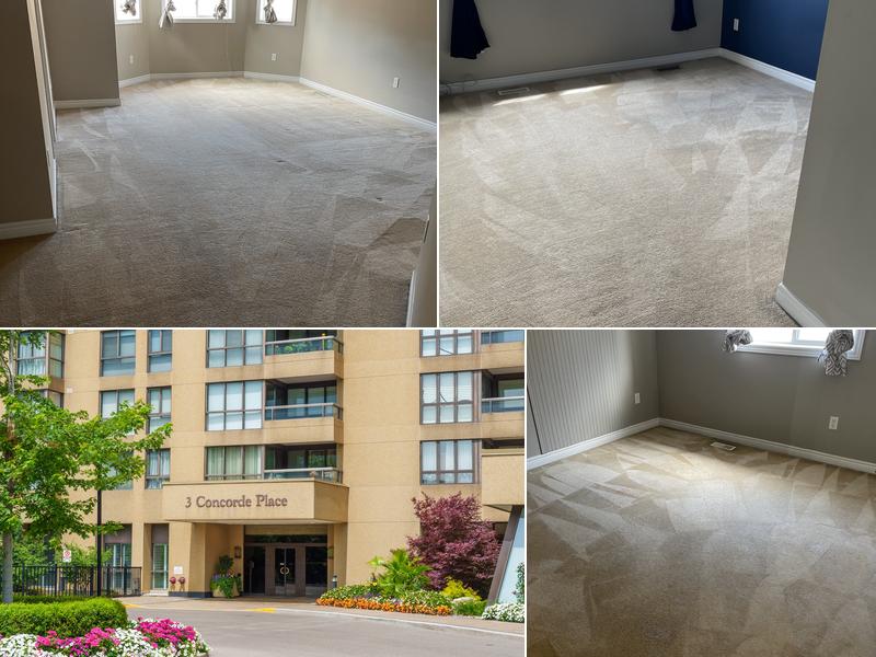 Royal Interior Carpet & Rug Cleaning