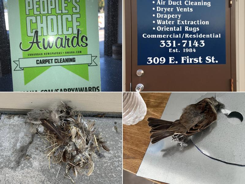 Palmer's Carpet & Upholstery