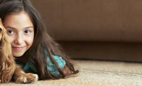 Chem-Dry of Manchester